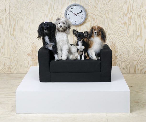 Ikea collection pour animaux
