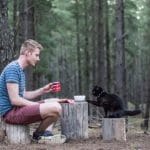 voyage avec son chat