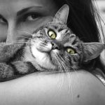chat
