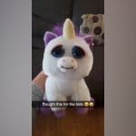 peluche