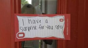 surprise love