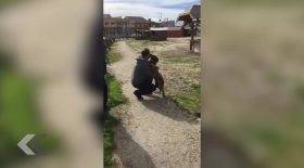 retrouvailles chien