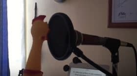 poulet plastique despacito