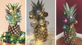 ananas de noel
