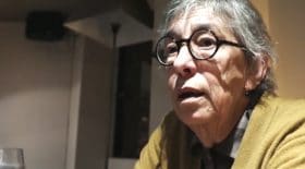 Anémone