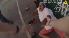 attaque chien de police