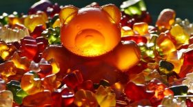 bonbons haribo boycott