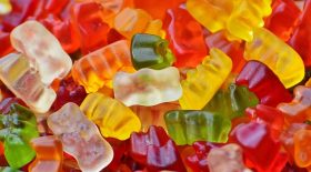 bonbons haribo nounours