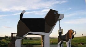 dog bark park