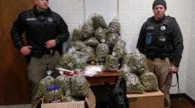 marijuana
