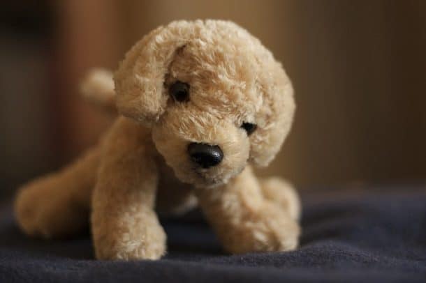 chien en peluche