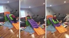 toboggan