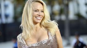 pamela anderson