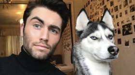 les photos sont à mourir de rire