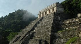 cite maya