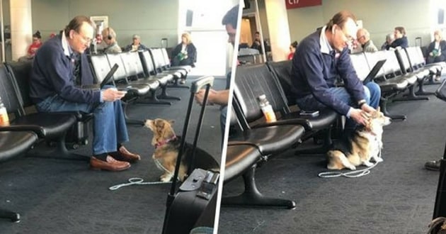 chienne inconnu aéroport