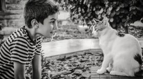 parler aux animaux