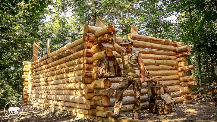 cabane en bois