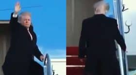 calvitie trump
