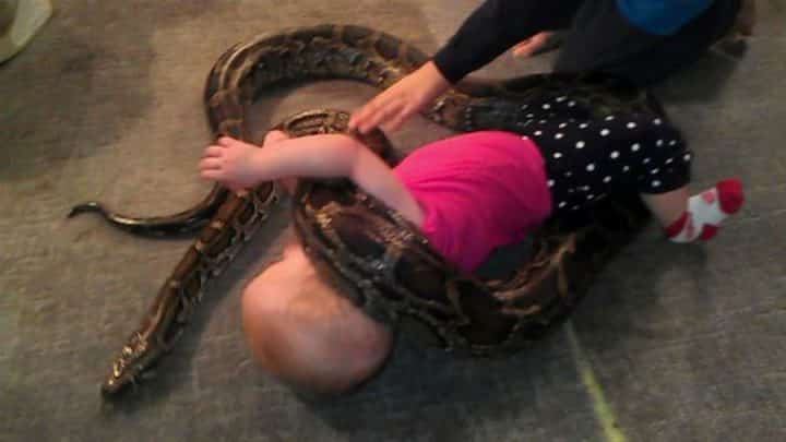 un bébé joue avec un serpent