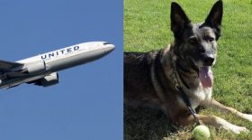 La boulette d'United Airlines