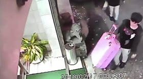 cadavre caché dans une valise