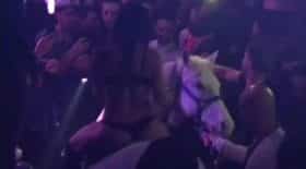 cheval en boite de nuit avec strip teaseuse