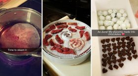 recette de chocolats au placenta