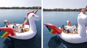 licorne