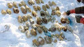 54 mains coupées retrouvées dans un sac