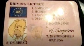 permis de conduire Homer Simpson