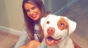 son chien Pettey est mort dans des circonstances tragiques