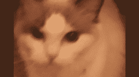 chat