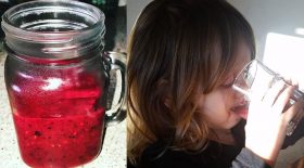 ses enfants boivent des smoothies au placenta