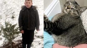 Une famille enterre leur chat, il réapparait quelques jours plus tard dans le jardin !