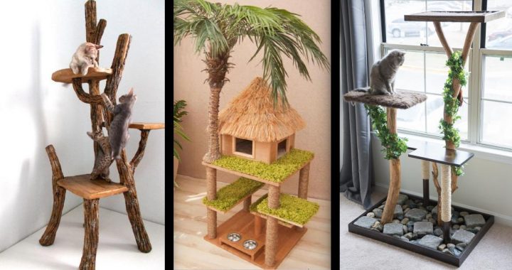 10 Des Arbres A Chat Inspires De La Nature Qui Sublimeront Votre Interieur