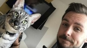 il croise son chat à un km de chez lui, la réaction de l'animal est à mourir de rire