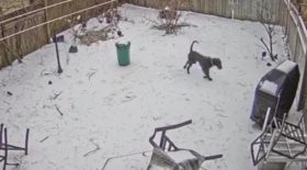 tempete