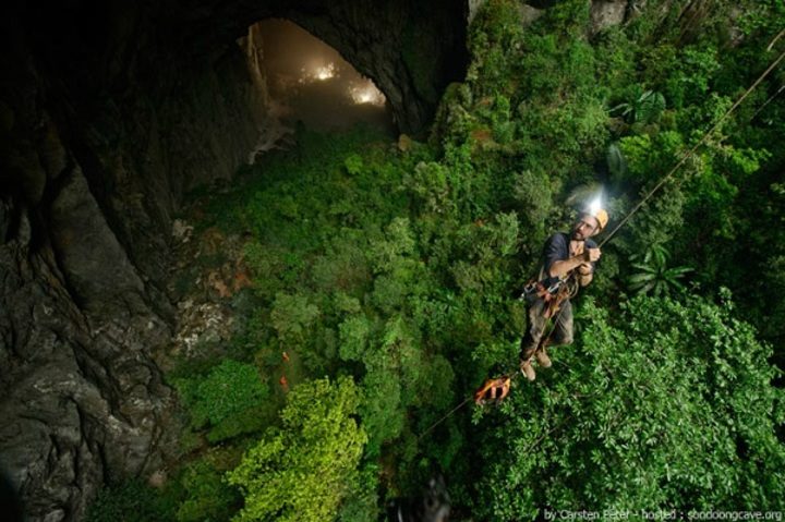 jungle grotte