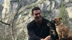 Il recueille six chiens abandonnés et les emmène en road-trip