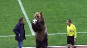 ours match de football russie