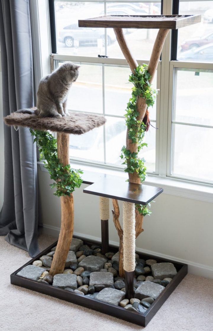 arbre à chat en pierres