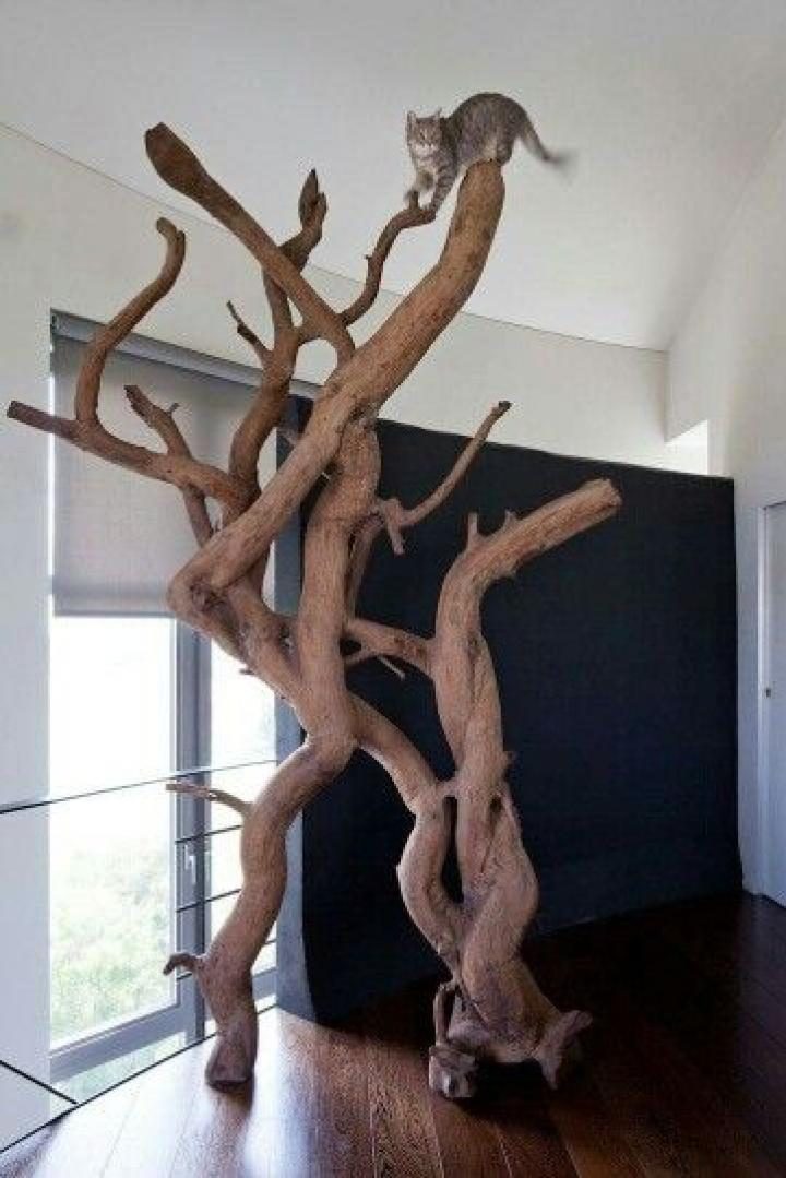 arbre à chat massif