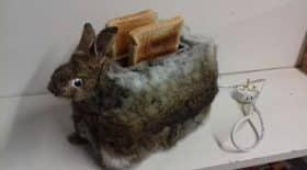 taxidermiste crée un grille-pain lapin