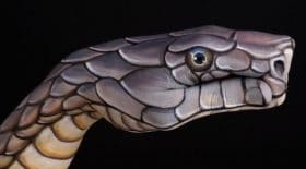 il peint des animaux sur ses mains, et c'est vraiment fascinant