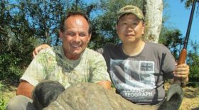 chasseur, chasse, animaux,bison, bison mort, attaque.jpg