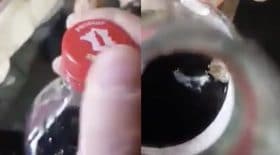 il découvre une araignée dans sa bouteille de Coca-Cola