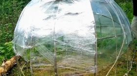 dome insolite