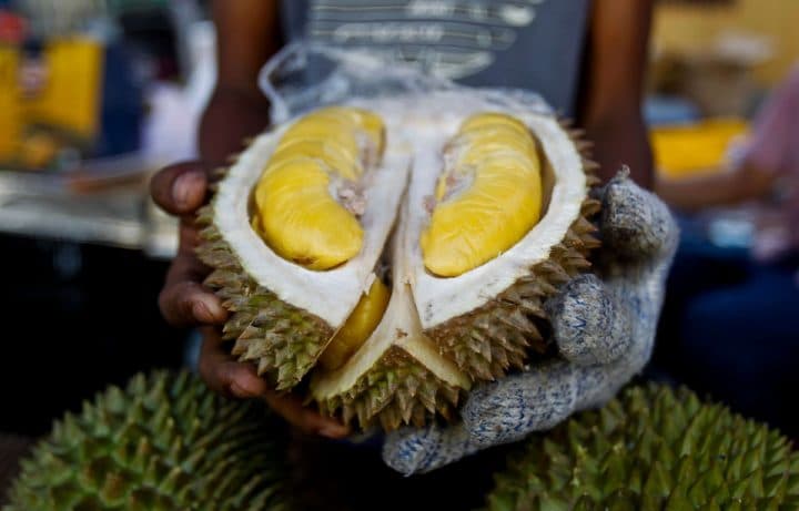 durian pourri