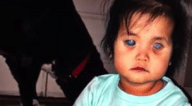 enfant, yeux d'argent, primrose